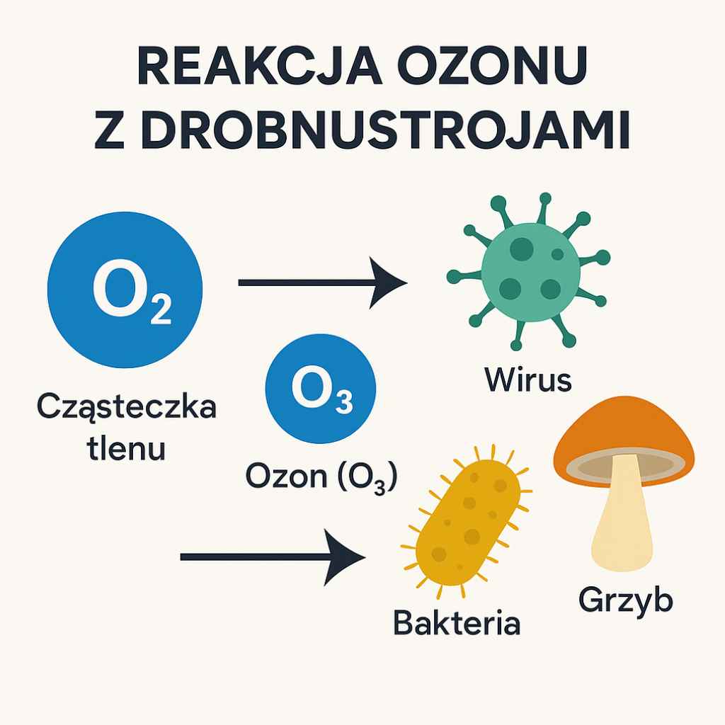 Tlen (O₂) przekształca się w ozon (O₃), który reaguje z wirusami, bakteriami i zapachami.